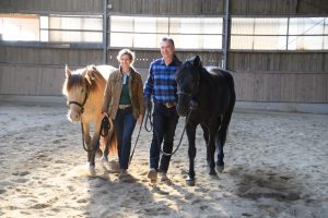 Pferdegestütztes Coaching mit consinion